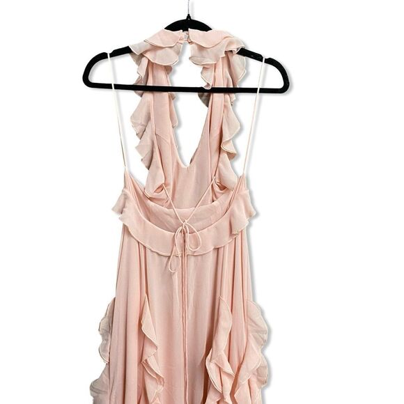 Sau Lee Fiona Dress Baby Pink Ruffle Maxi chiffon gown wedding prom Revolve 4 - Picture 4 of 12